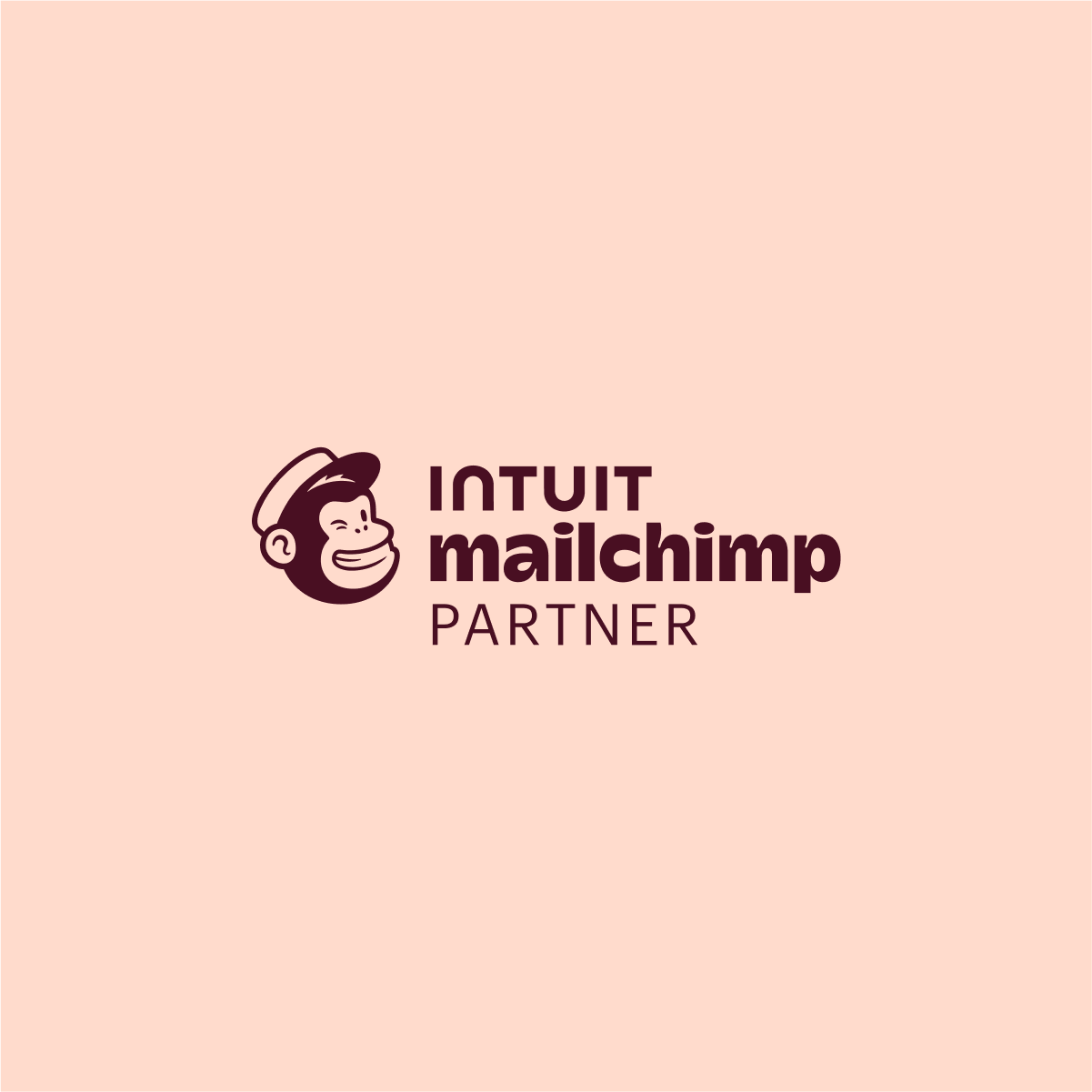 Mailchimp_Partner_pumpkin_1x1